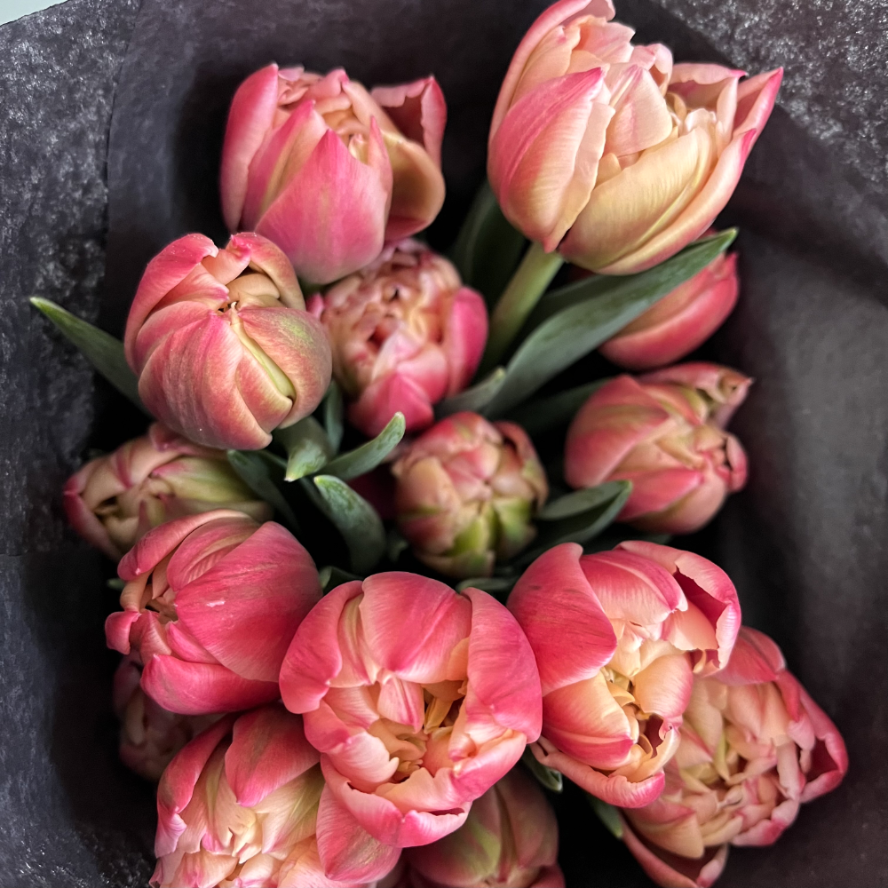 Local Tulips image 1