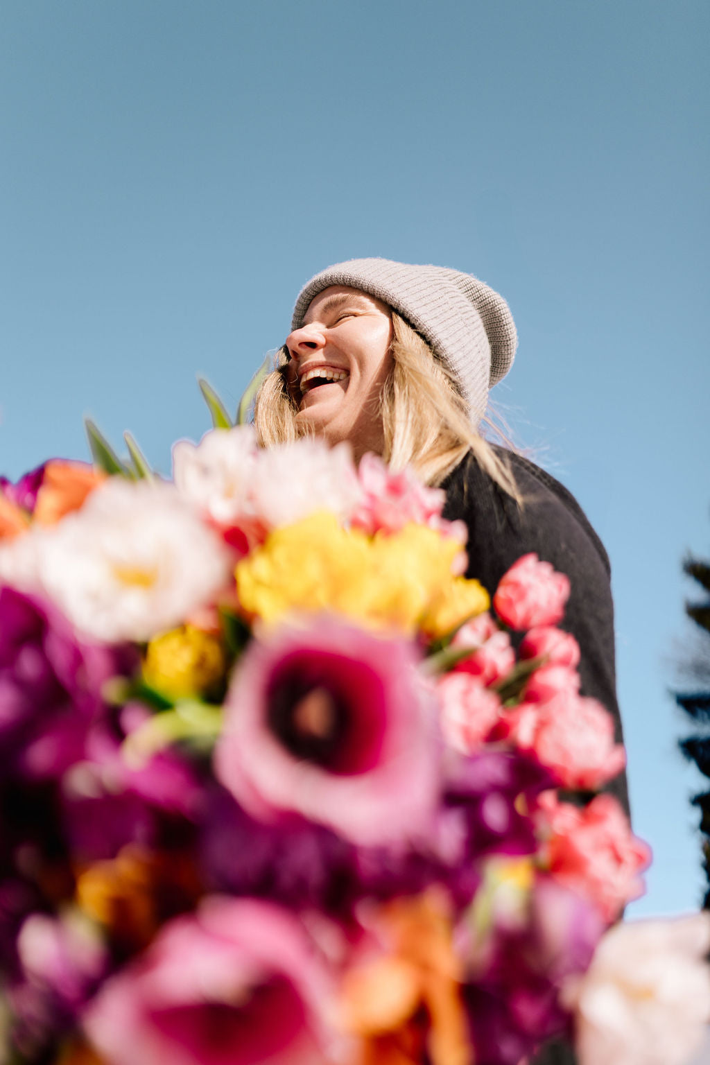 Tulip Club - Starts this Winter image 9