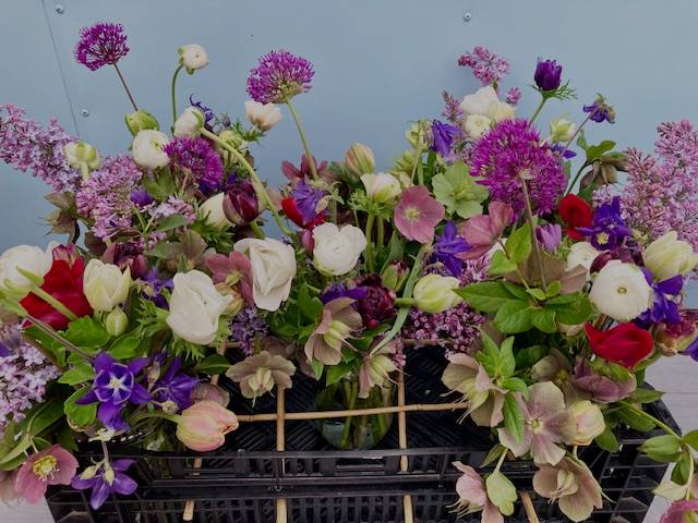 Mason Jar Club - Starts in Spring image 6