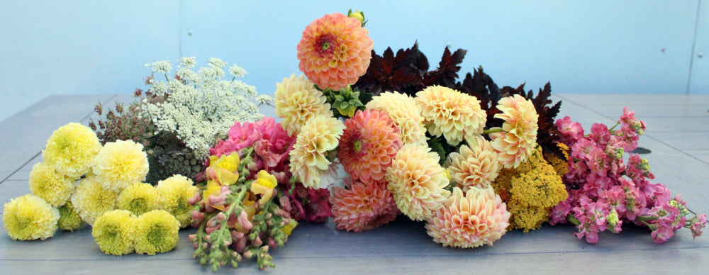 Bucket Club - Starts in May image 1