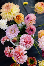 Dahlias and Bits Club - Starts at the End of Summer image 2
