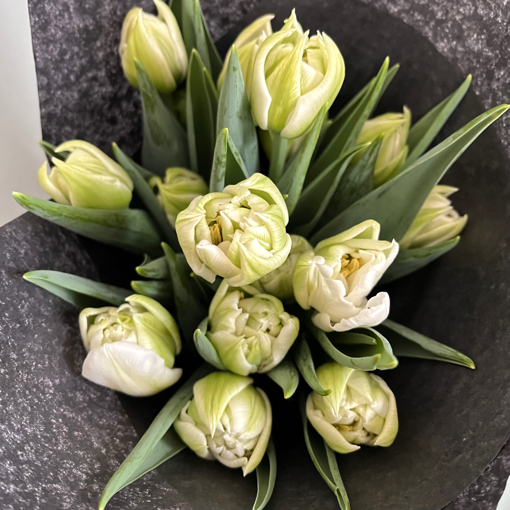 Local Tulips image 2