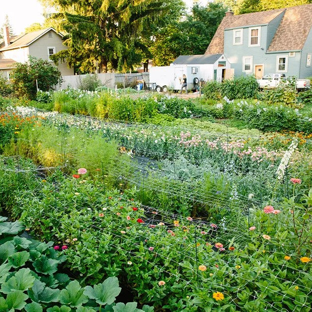 Bucket Club - Starts in May image 0