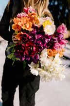 Tulip Club - Starts this Winter image 7