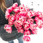 Local Tulips image 0