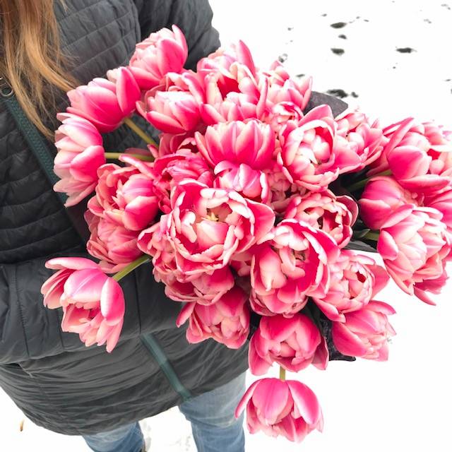 Local Tulips image 0