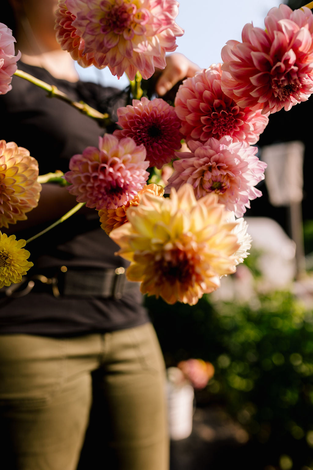 Dahlias and Bits Club - Starts at the End of Summer image 3