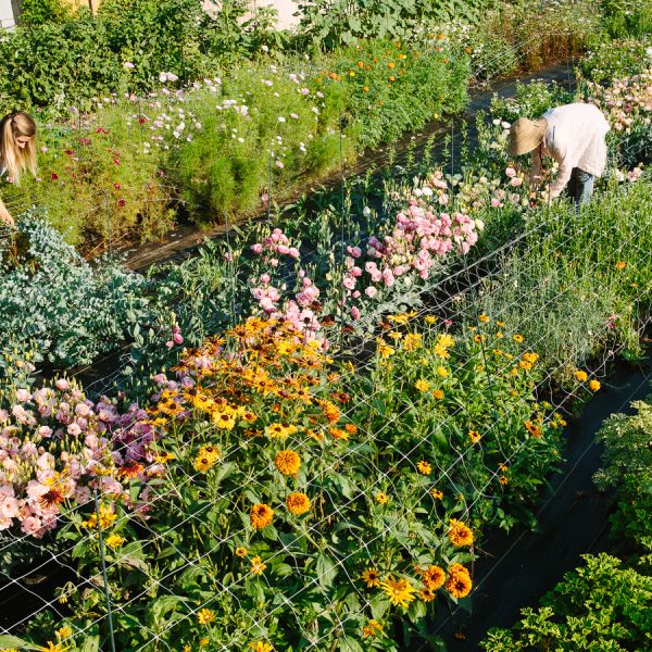 Mason Jar Club - Starts in Spring image 0