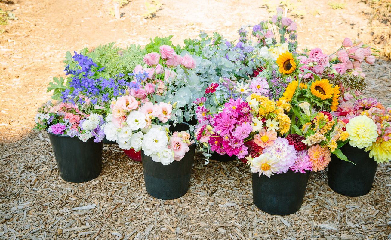 Bucket Club - Starts in May image 2